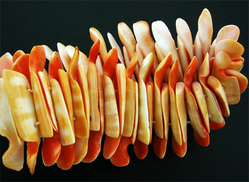 Elegant Sea Shell Stretch Bracelet with white and orange-yellowish hues