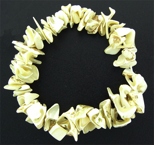 Natural White Sea Shell Stretch Bracelet close up view